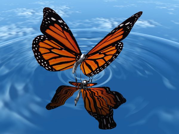 canstockphoto7156721