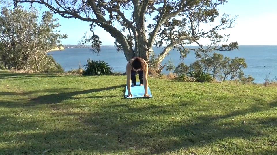 Yoga Power