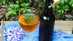 kombucha[c]2