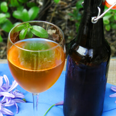 kombucha[c]2
